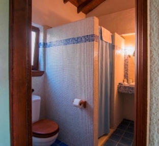 bathroom with walk-in shower, toiletries & hairdryer